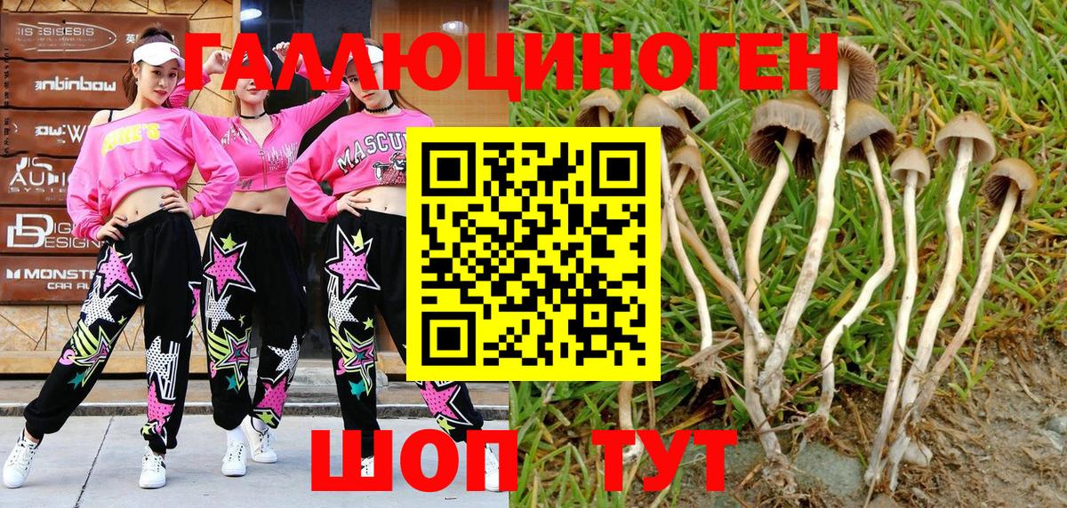 Галлюциногенные грибы MAGIC MUSHROOMS Тихвин