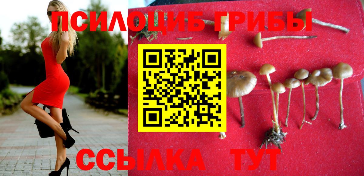 Тихвин  Галлюциногенные грибы Cubensis  Псилоцибиновые грибы GOLDEN TEACHER  Вход с VPN 