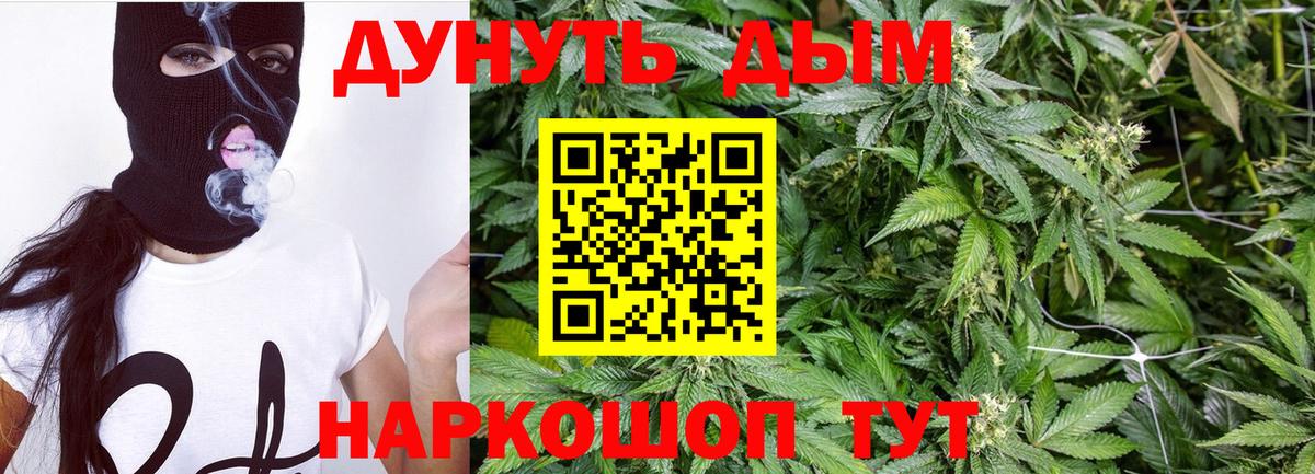 Тихвин  Бошки Шишки SATIVA & INDICA  Каннабис индика  Вход с VPN 